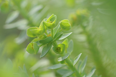 BUITEN BEELD Foto: 94351
