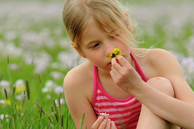 BUITEN BEELD Foto: 94434