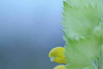 BUITEN BEELD Foto: 94443
