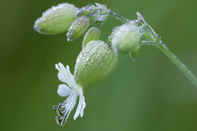 BUITEN BEELD Foto: 94481