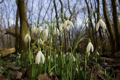 BUITEN BEELD Foto: 94487