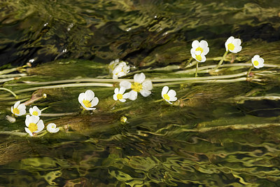 BUITEN BEELD Foto: 94498