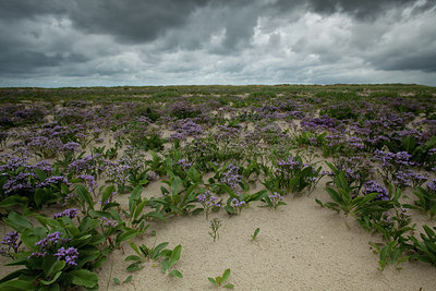 BUITEN BEELD Foto: 94590