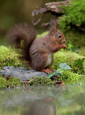 BUITEN BEELD Foto: 94654