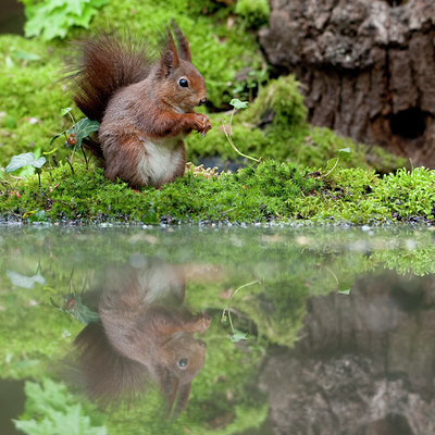 BUITEN BEELD Foto: 94655