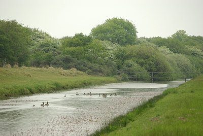 BUITEN BEELD Foto: 94673