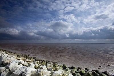 BUITEN BEELD Foto: 94738