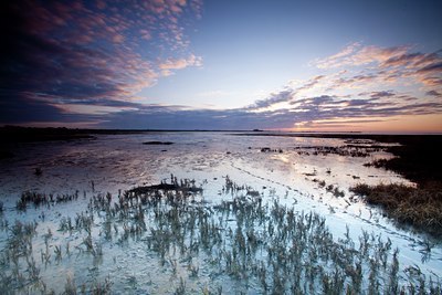 BUITEN BEELD Foto: 94744