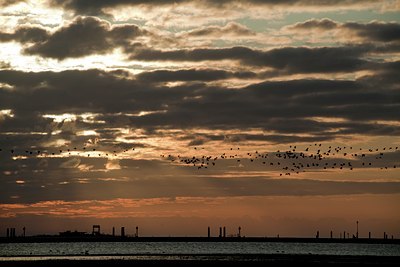 BUITEN BEELD Foto: 94746