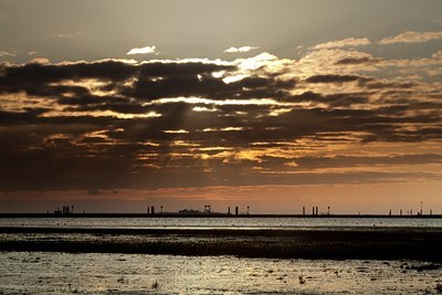 BUITEN BEELD Foto: 94748