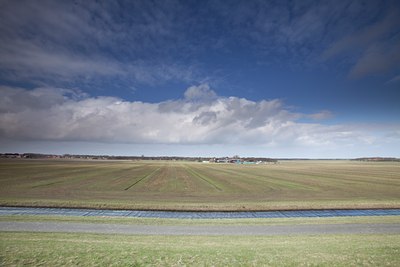 BUITEN BEELD Foto: 94755