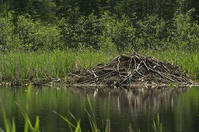 BUITEN BEELD Foto: 94776