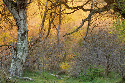 BUITEN BEELD Foto: 94888