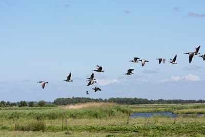 BUITEN BEELD Foto: 94904
