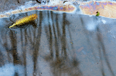 BUITEN BEELD Foto: 95018