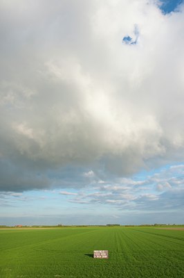 BUITEN BEELD Foto: 95024