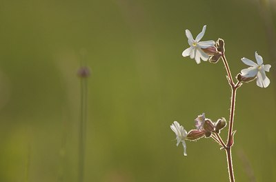 BUITEN BEELD Foto: 95033