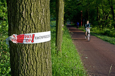 BUITEN BEELD Foto: 95181