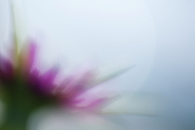 BUITEN BEELD Foto: 95211