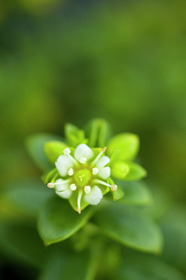 BUITEN BEELD Foto: 95231