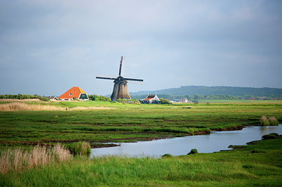 BUITEN BEELD Foto: 95267