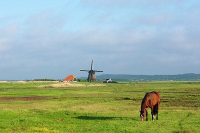 BUITEN BEELD Foto: 95271