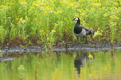 BUITEN BEELD Foto: 95298