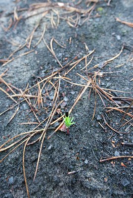 BUITEN BEELD Foto: 95351