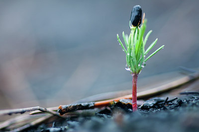 BUITEN BEELD Foto: 95353
