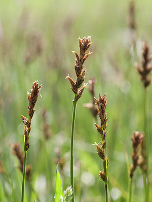 BUITEN BEELD Foto: 95389