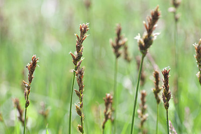 BUITEN BEELD Foto: 95390