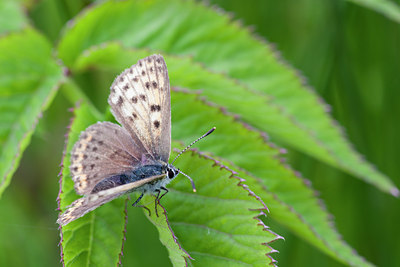 BUITEN BEELD Foto: 95415