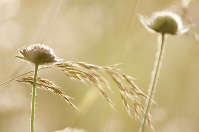 BUITEN BEELD Foto: 95436