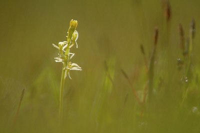 BUITEN BEELD Foto: 95452
