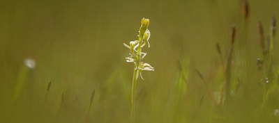 BUITEN BEELD Foto: 95459