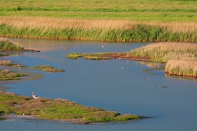 BUITEN BEELD Foto: 95464
