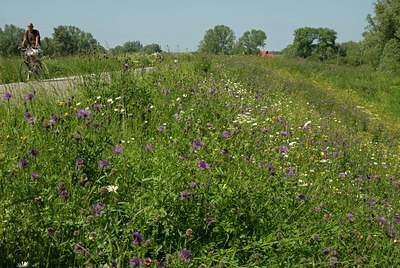 BUITEN BEELD Foto: 95507