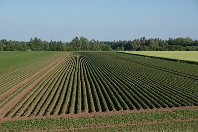 BUITEN BEELD Foto: 95515