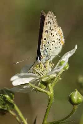 BUITEN BEELD Foto: 95523