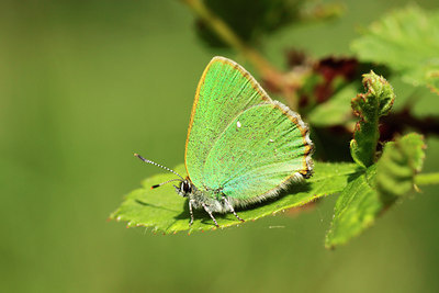 BUITEN BEELD Foto: 95525