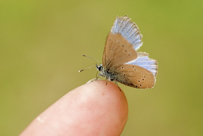 BUITEN BEELD Foto: 95558