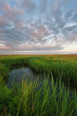 BUITEN BEELD Foto: 95634