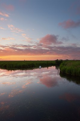 BUITEN BEELD Foto: 95636