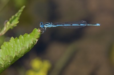 BUITEN BEELD Foto: 95653