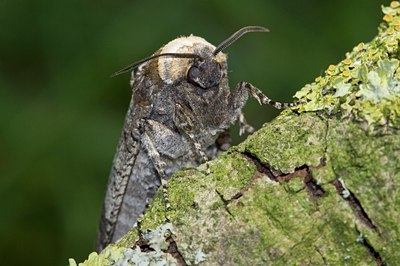 BUITEN BEELD Foto: 95694