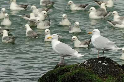BUITEN BEELD Foto: 95823