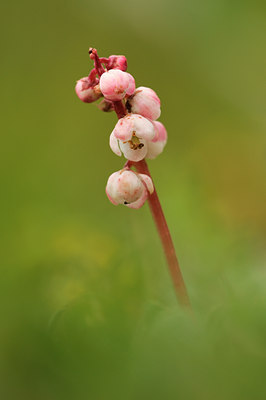 BUITEN BEELD Foto: 95837