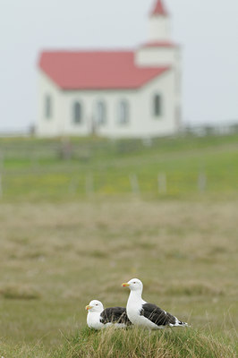 BUITEN BEELD Foto: 95877