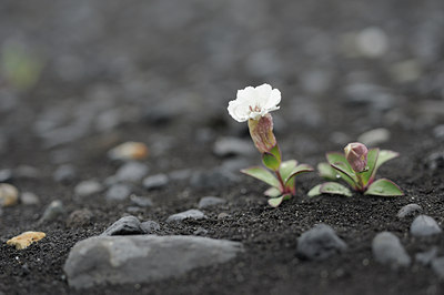 BUITEN BEELD Foto: 95940