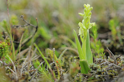 BUITEN BEELD Foto: 95952